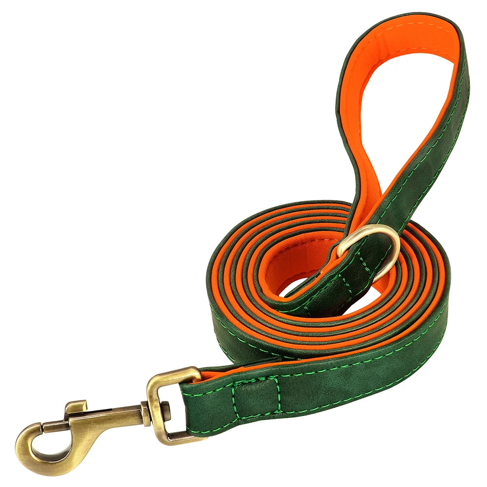 The Namesake — Leather Collar & Lead