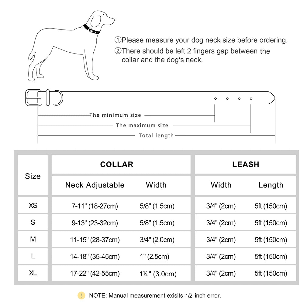 The Namesake — Leather Collar & Lead