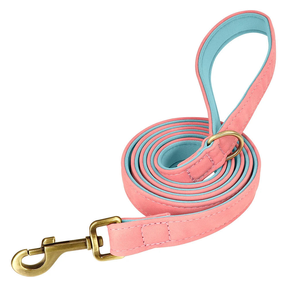 The Namesake — Leather Collar & Lead