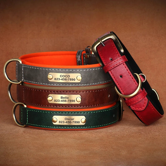 The Heritage ID Collar