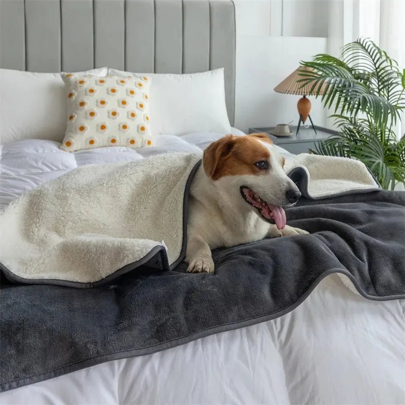 Dog lounging on The Everywhere Blanket in Gray on a neatly made bed.
