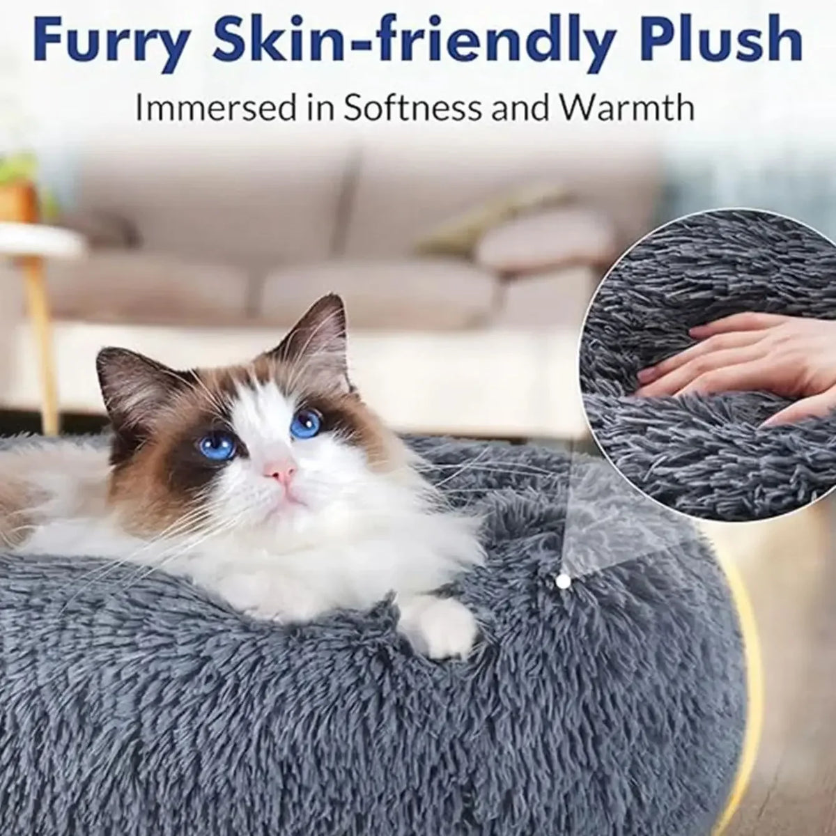 The Burrow