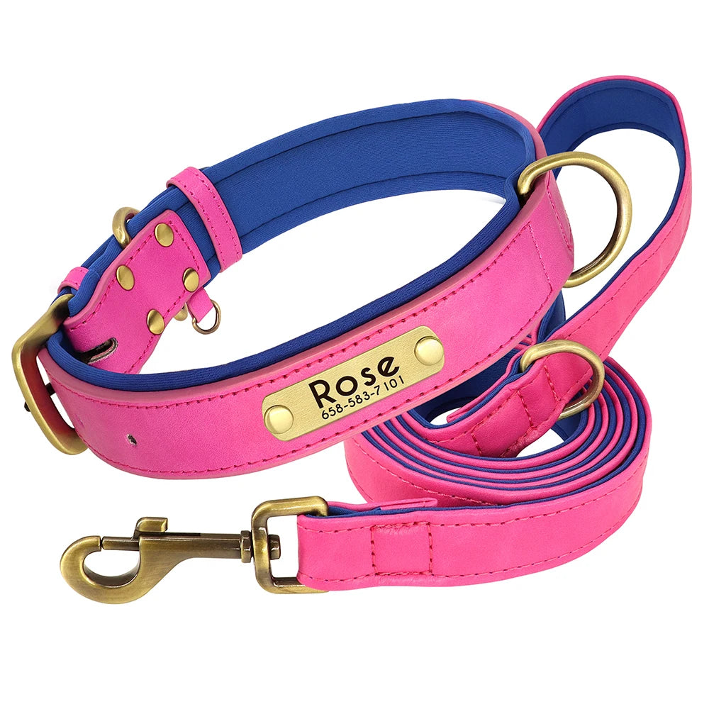 The Namesake — Leather Collar & Lead