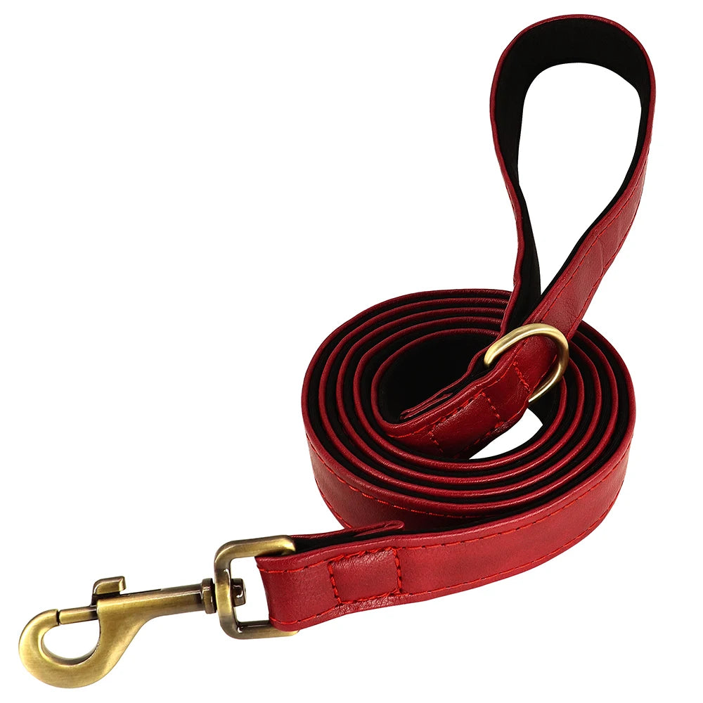 The Namesake — Leather Collar & Lead