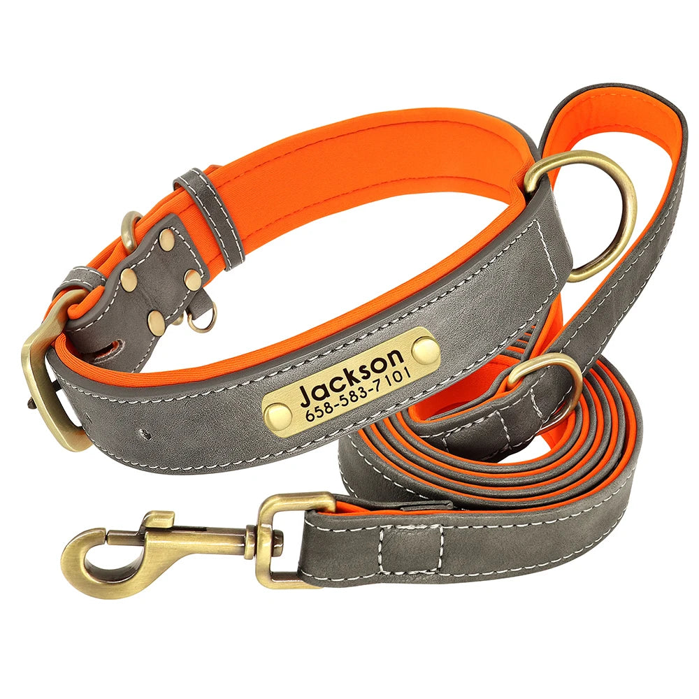 The Namesake — Leather Collar & Lead