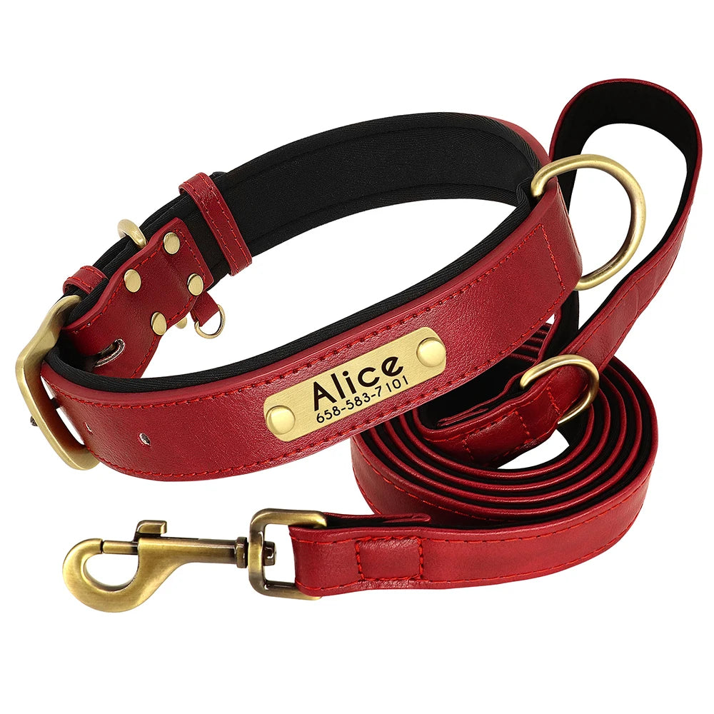 The Namesake — Leather Collar & Lead
