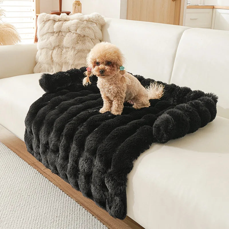 The Cloudsoft Pet Mat