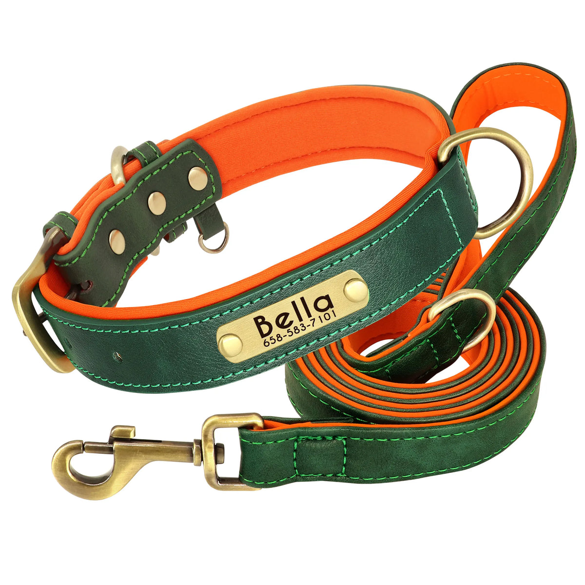 The Namesake — Leather Collar & Lead
