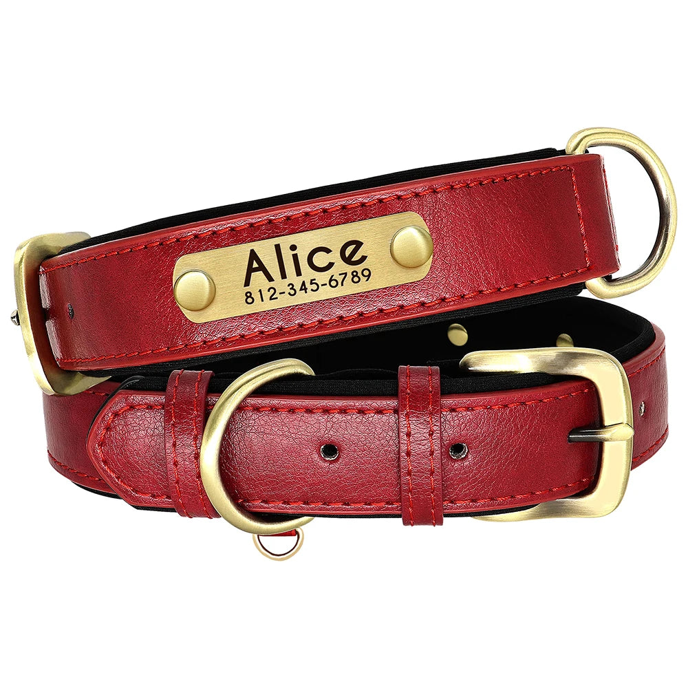 The Namesake — Leather Collar & Lead