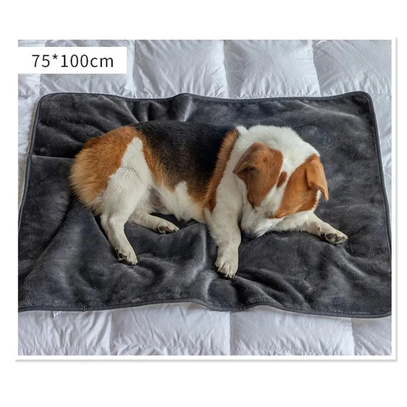 Small 75 × 100 cm Everywhere Blanket in Gray shown with a dog for scale.