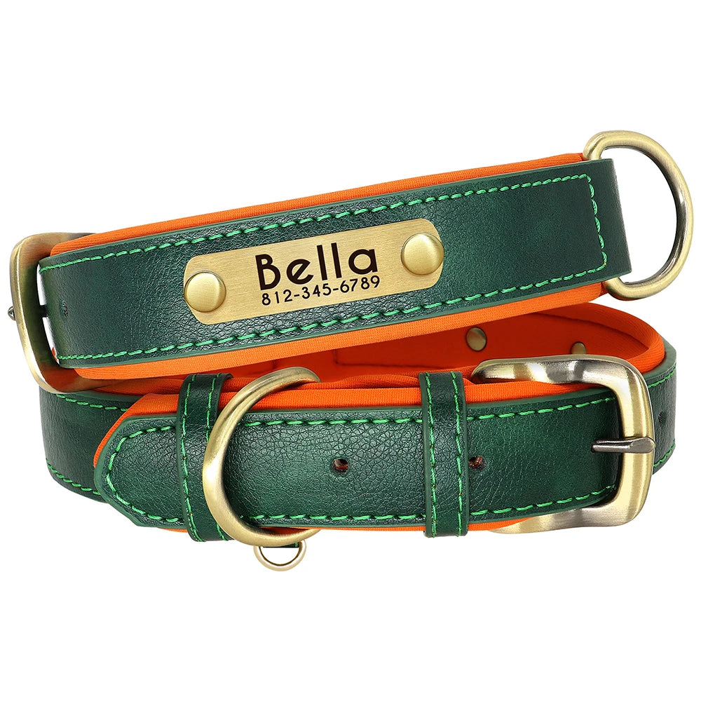The Namesake — Leather Collar & Lead