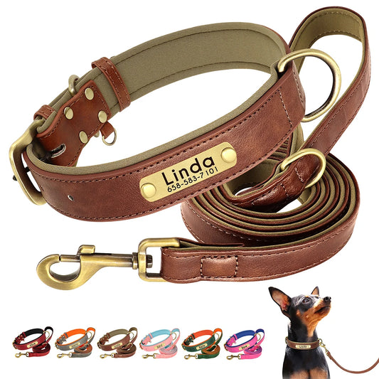 The Namesake — Leather Collar & Lead