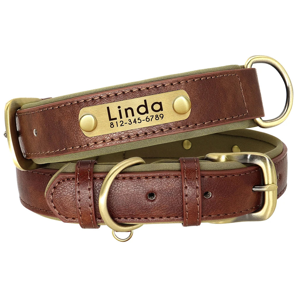 The Namesake — Leather Collar & Lead