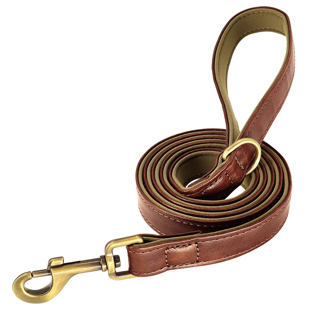 The Namesake — Leather Collar & Lead