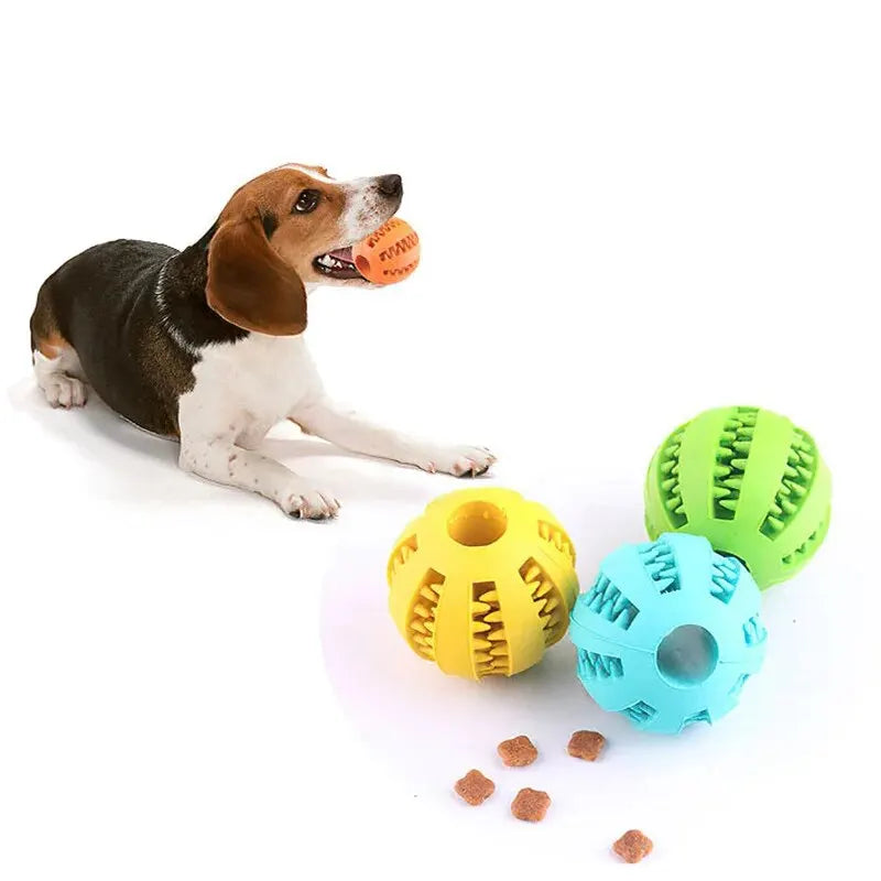 The Treat & Tumble Enrichment Ball