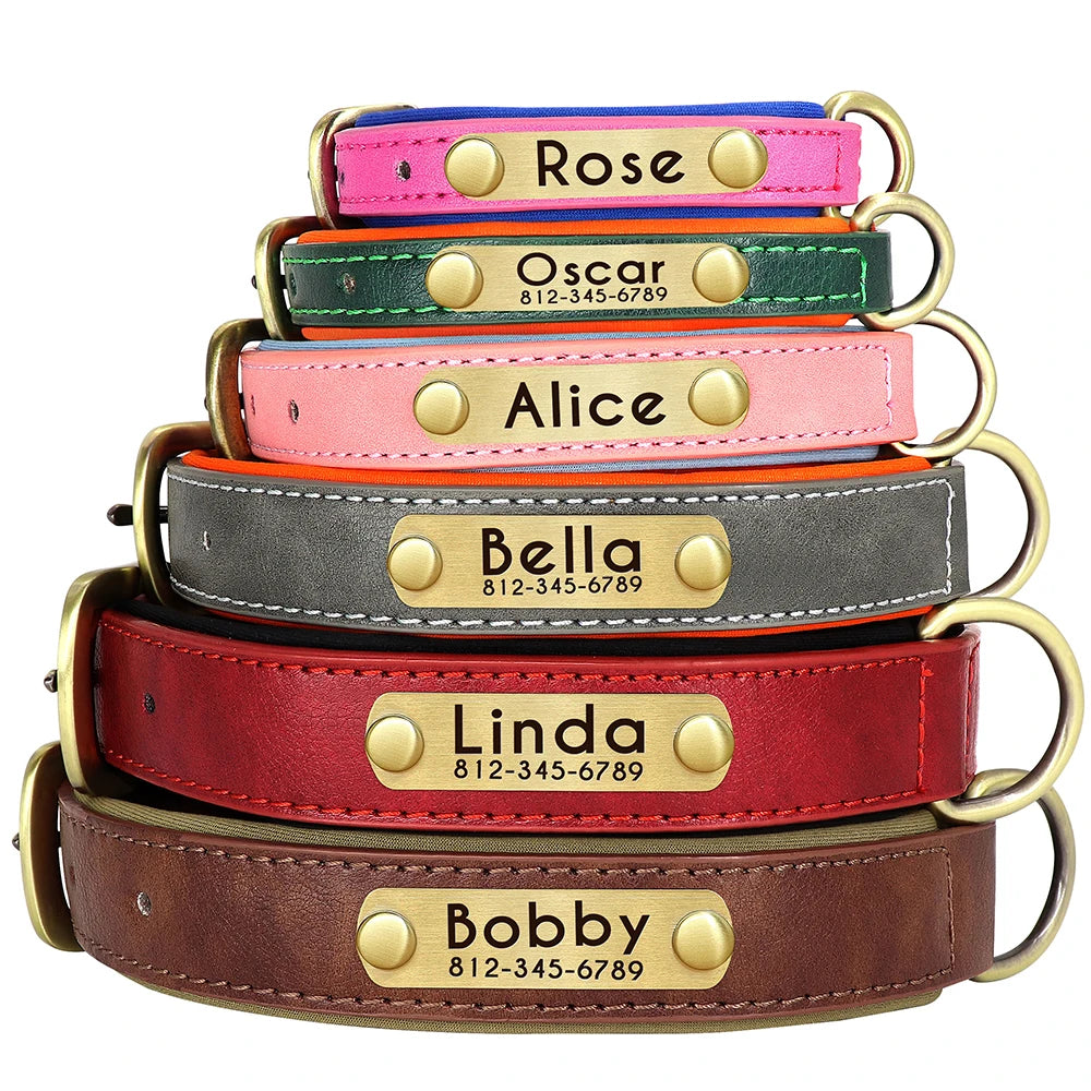 The Namesake — Leather Collar & Lead