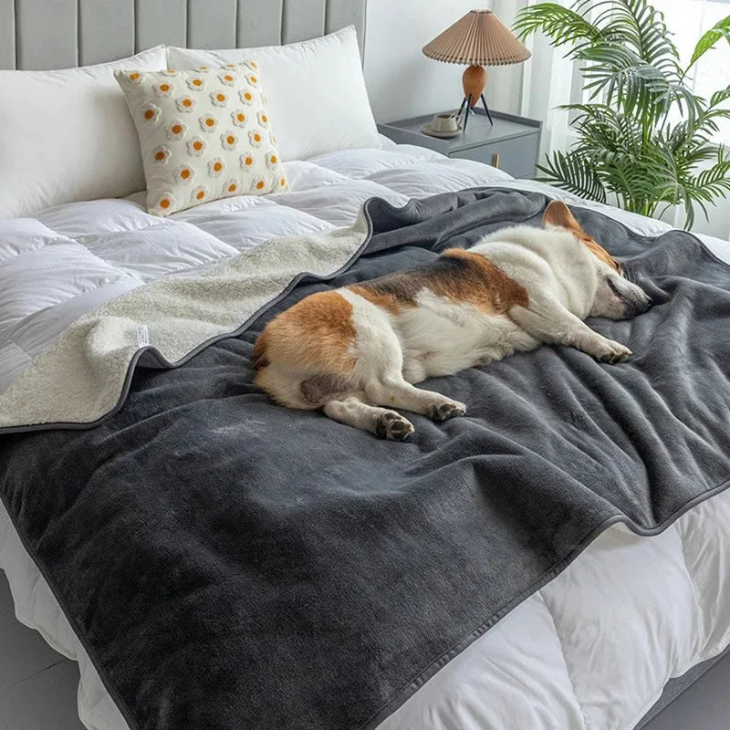 Dog resting on The Everywhere Blanket in Gray on a white bed.
