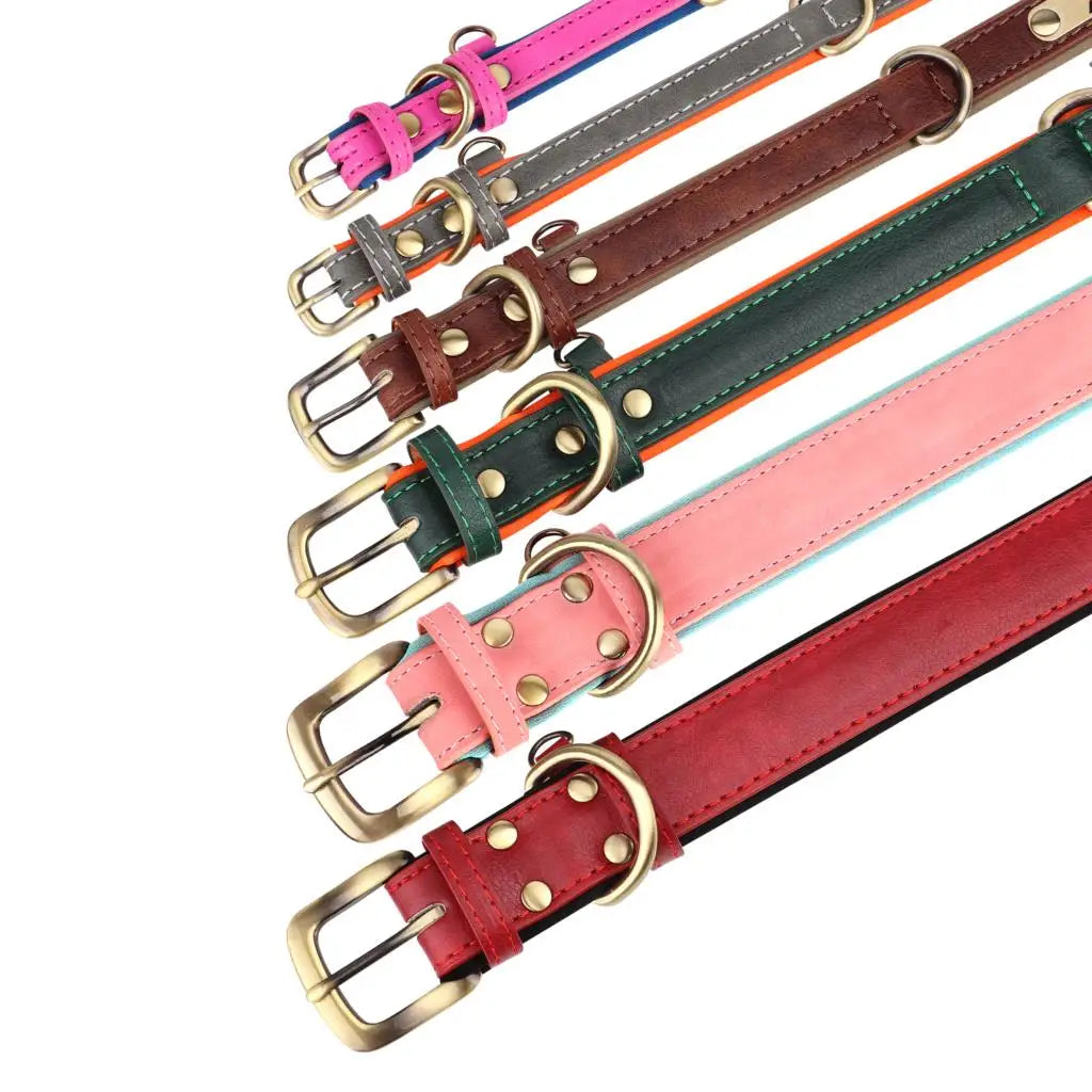 The Namesake — Leather Collar & Lead