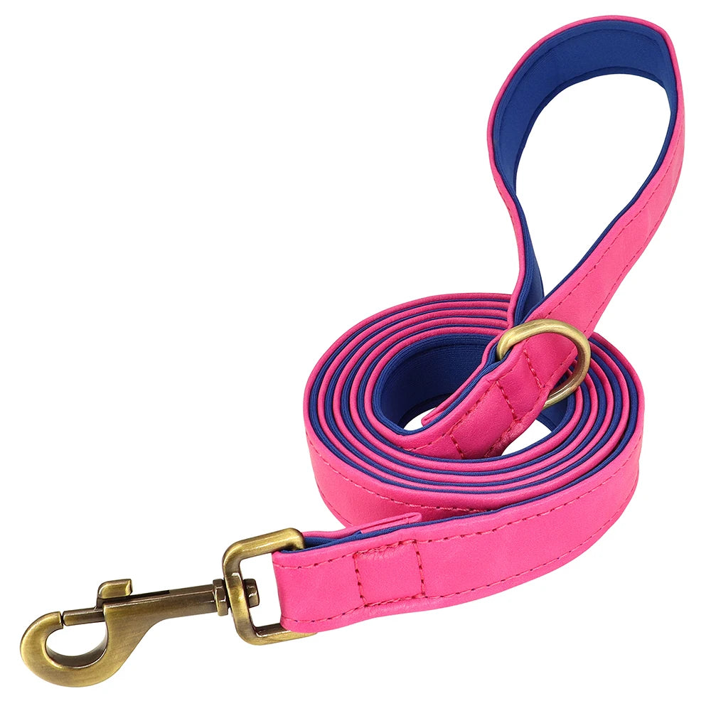 The Namesake — Leather Collar & Lead