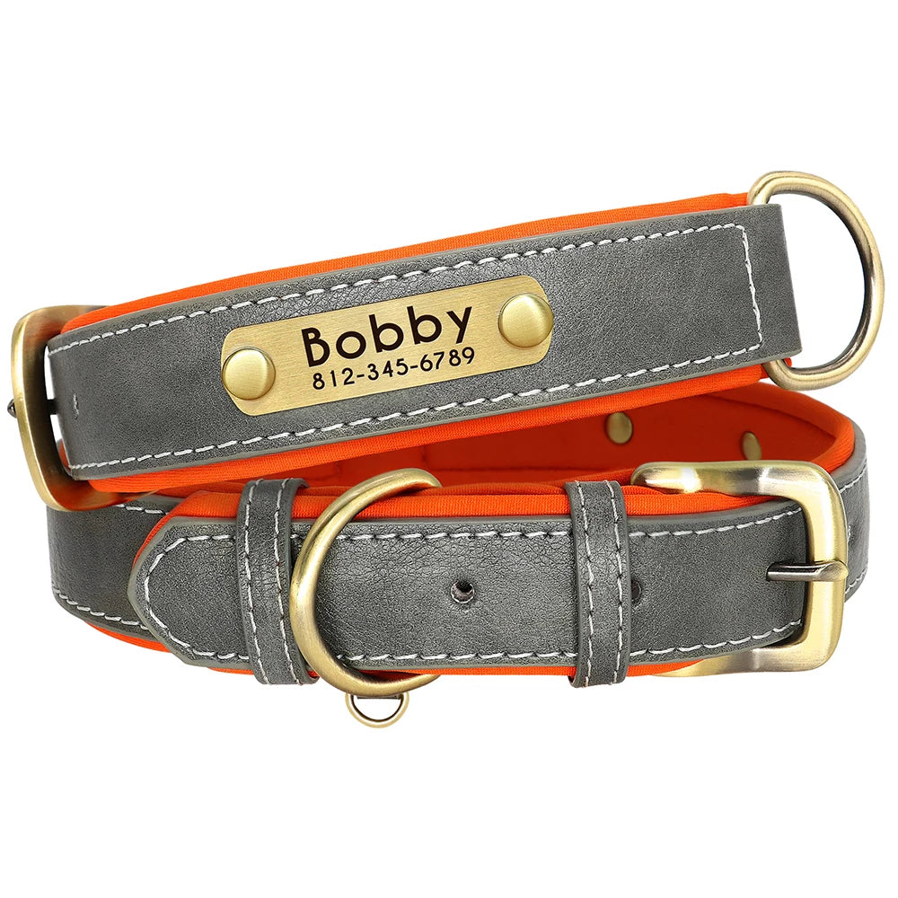 The Namesake — Leather Collar & Lead