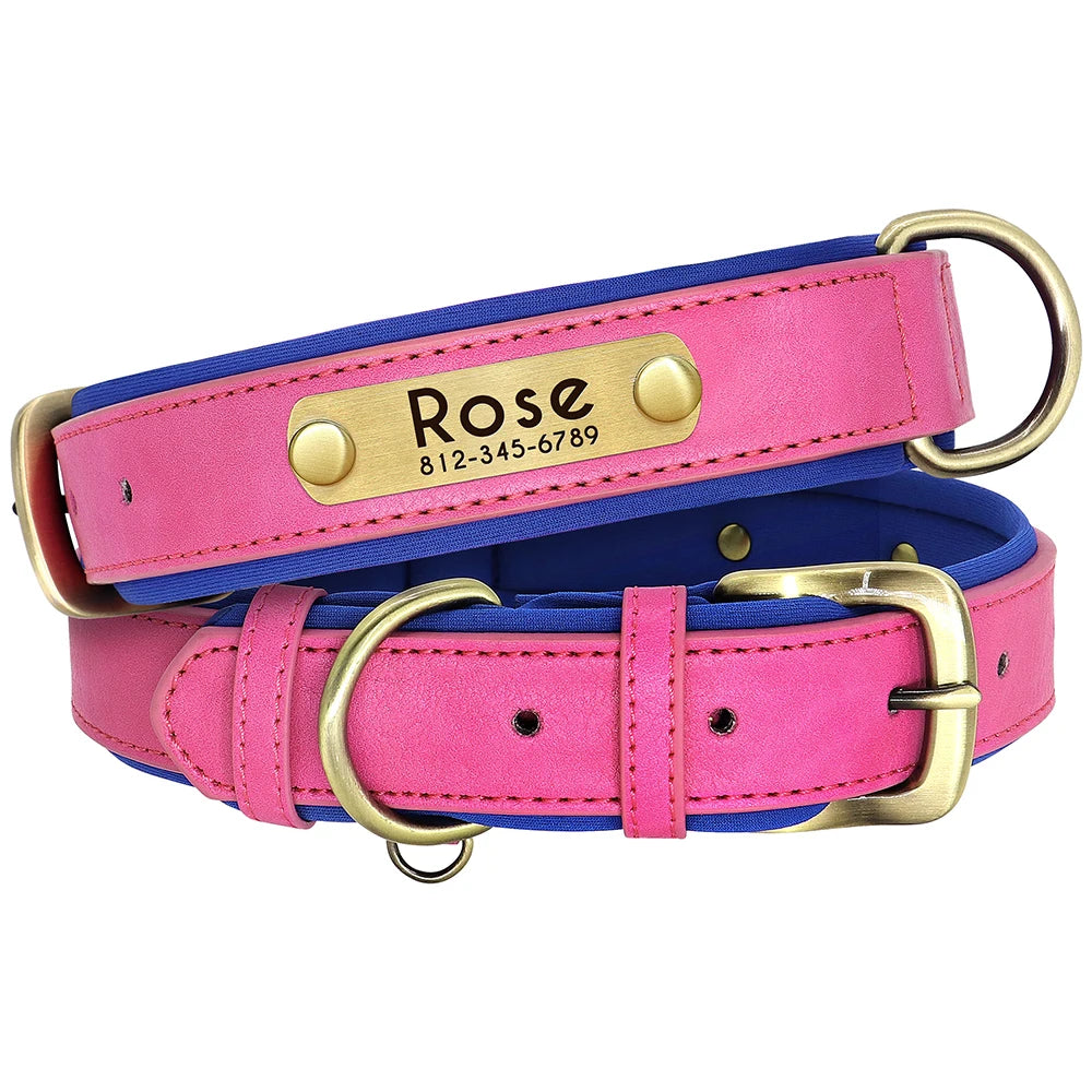 The Namesake — Leather Collar & Lead