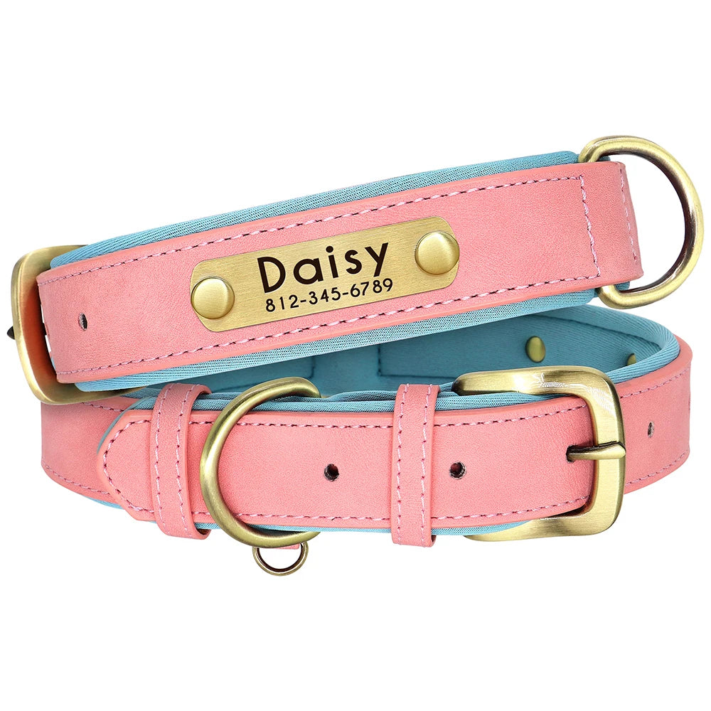 The Namesake — Leather Collar & Lead