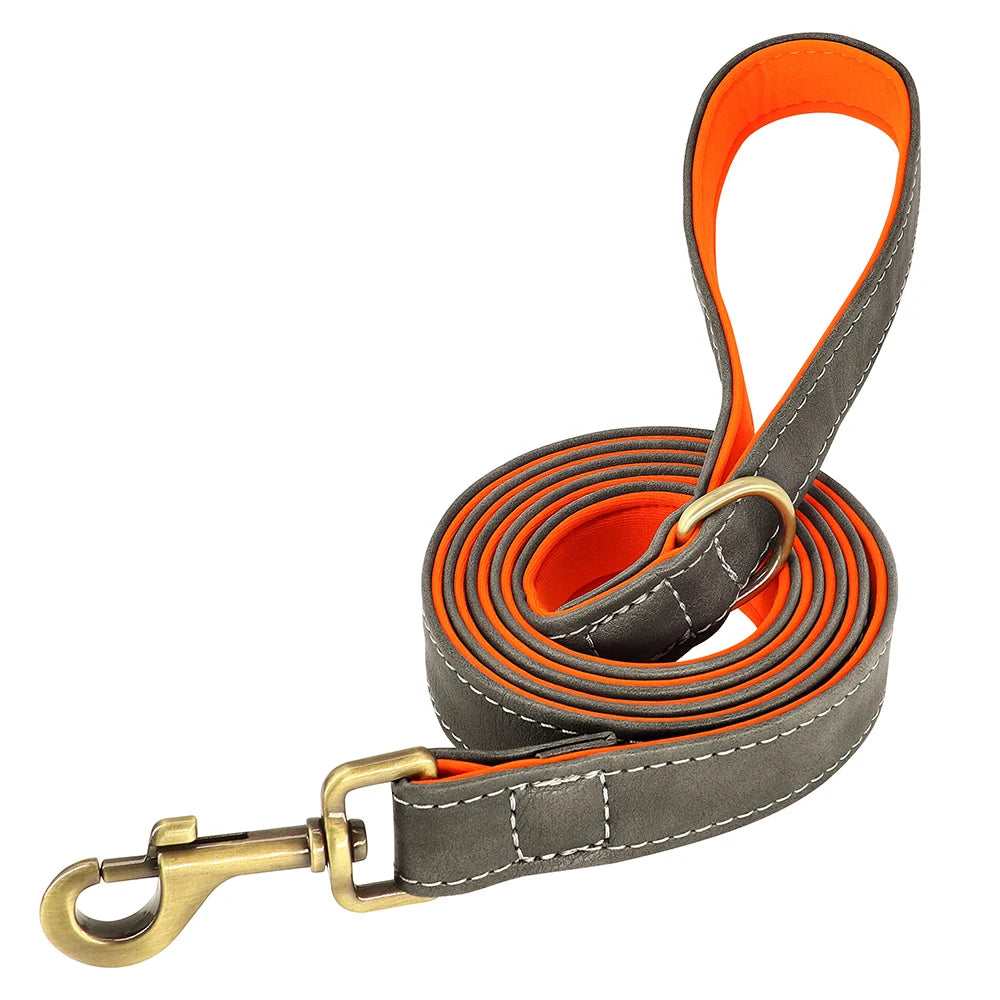 The Namesake — Leather Collar & Lead