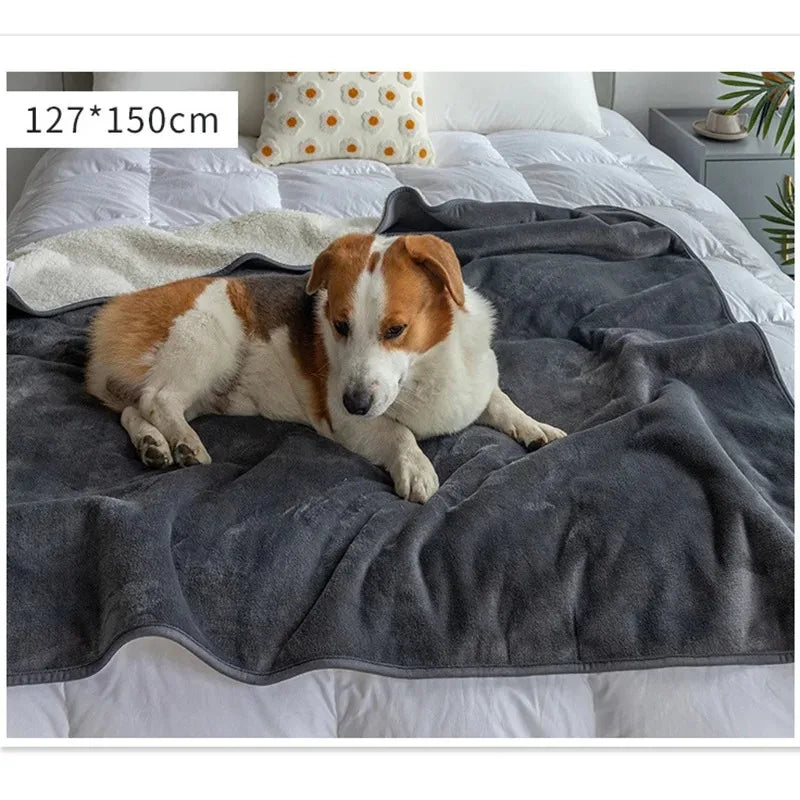 Large 150 × 127 cm Everywhere Blanket in Gray shown with a dog for scale.