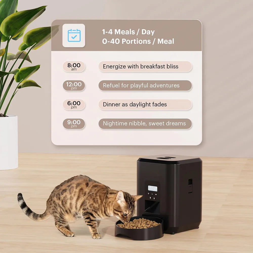 The Keeper — Automatic Feeder