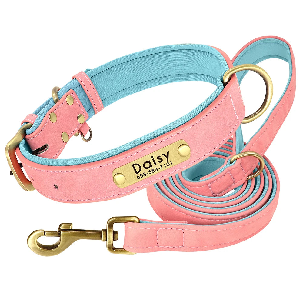 The Namesake — Leather Collar & Lead