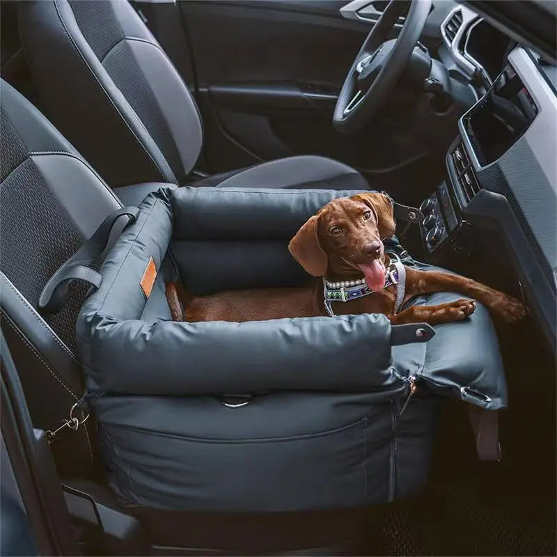 The Roadtrip Nest
