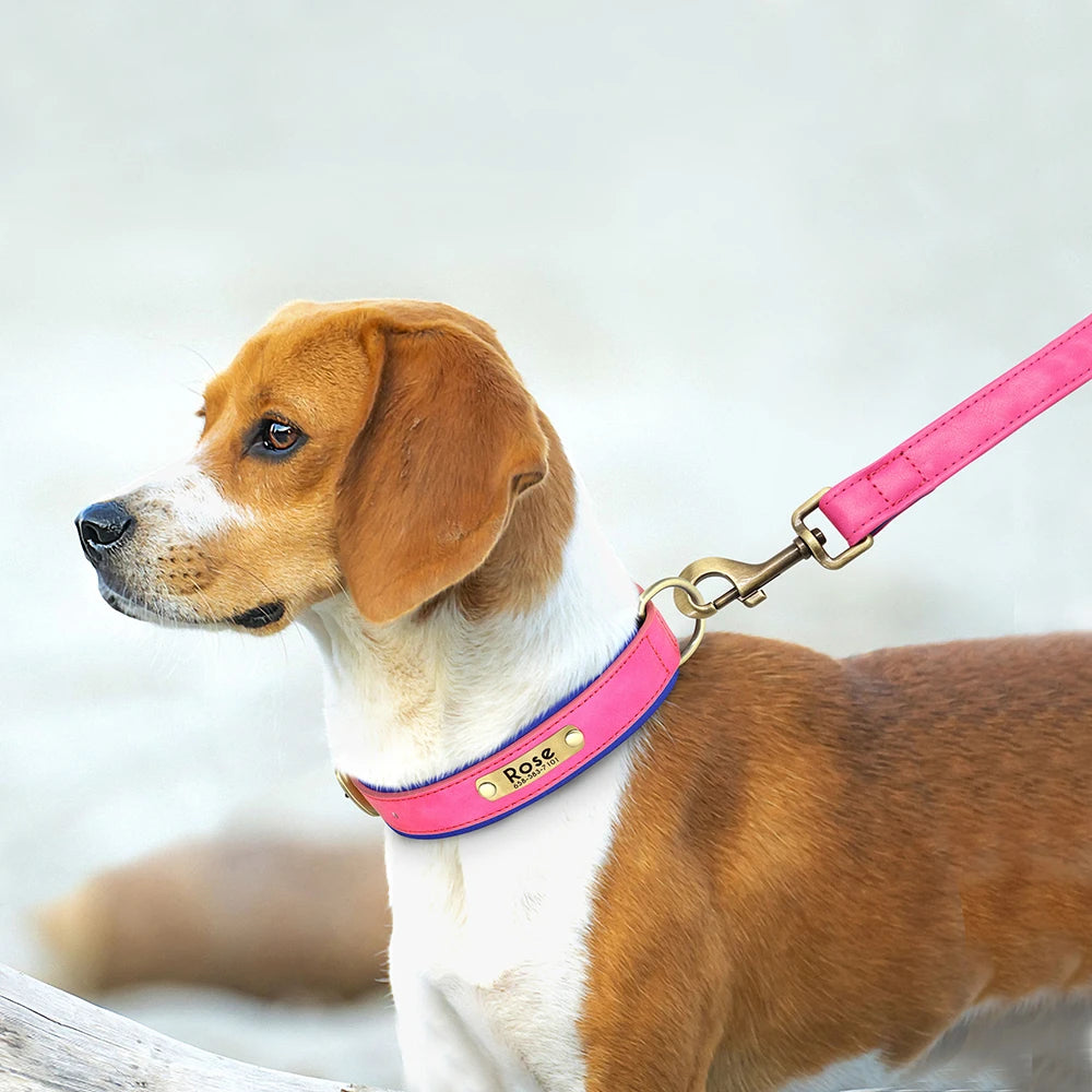 The Namesake — Leather Collar & Lead